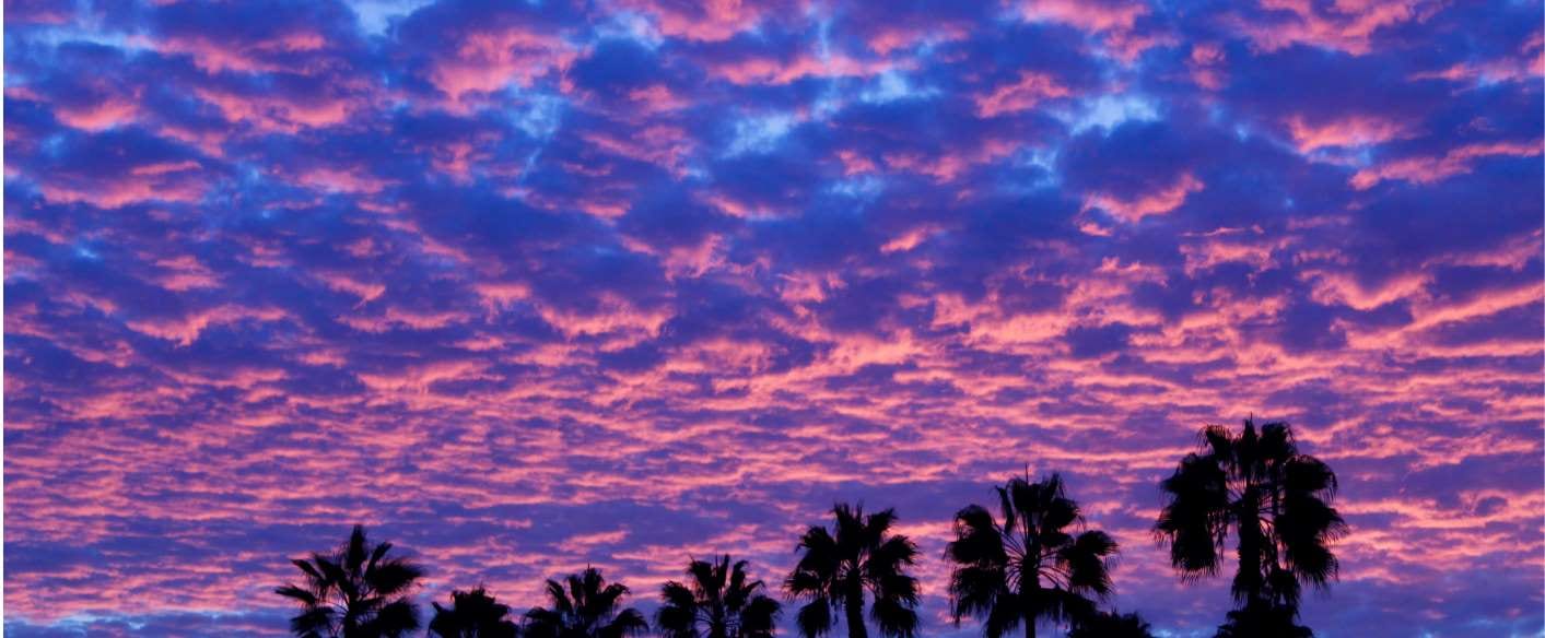 Building Reputation in Surprise, Arizona as a New Pool Company — pool service business insights