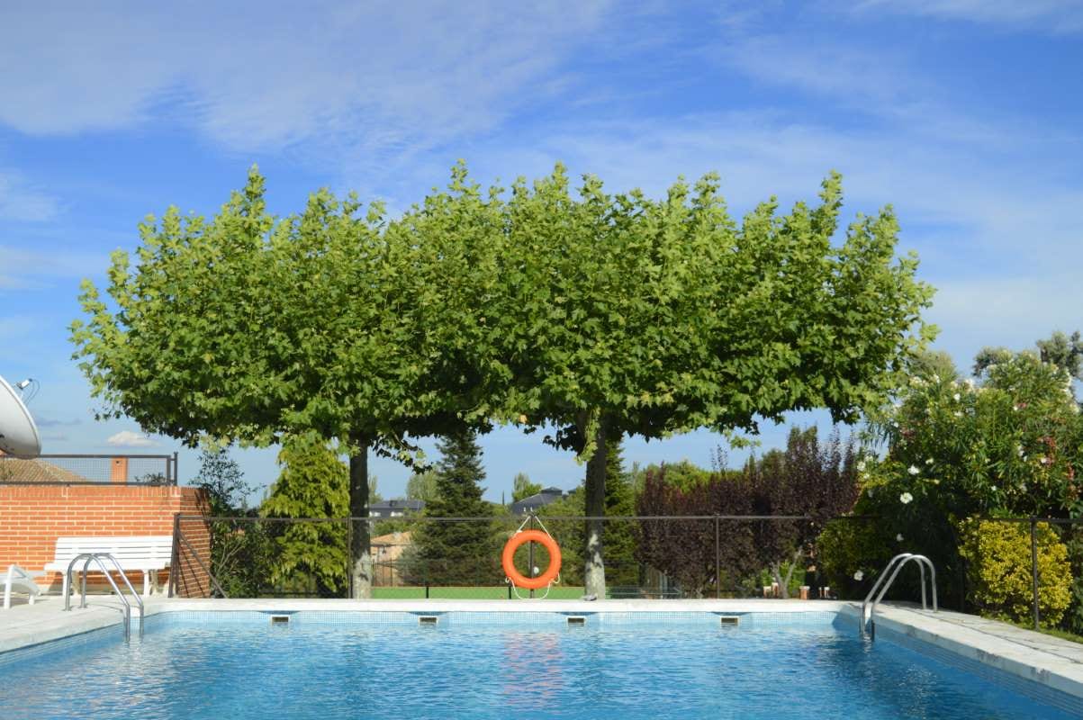 How to Diagnose Green Pool Water After Heavy Rain — pool service business insights