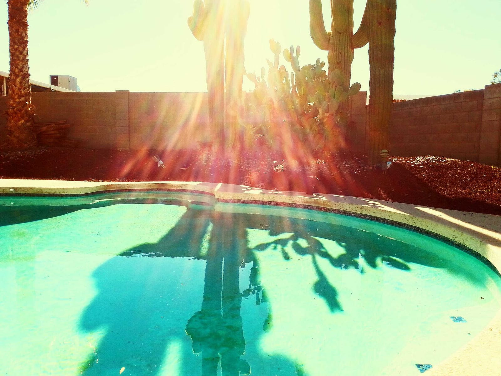 Pool Tech Certification Ideas for Taylor County, Texas — pool service business insights